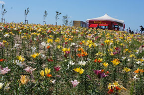 2013-6-14n.jpg
