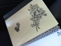 kirie-1_convert_20130228120024.jpg