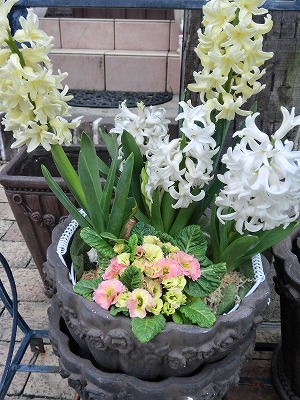 20120327RoseLeson (9)