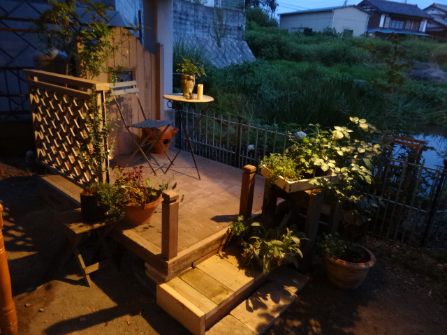 DSC01673.jpg