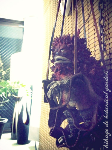 IMG_3457_effected_20130529022246.jpg