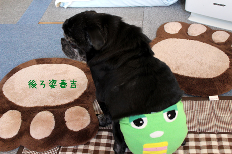 ウシロ春吉
