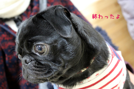 ミースケも来た