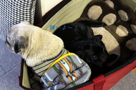狭いって・・・