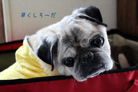 ちょっと待っててね