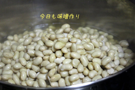 3回目の味噌作り