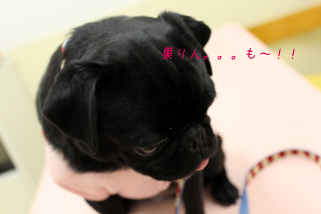 果りんもです