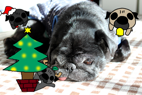 クリスマス近し!