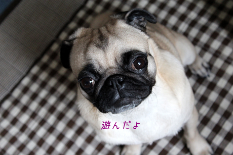 遊んだね