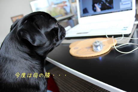 今度は母の膝