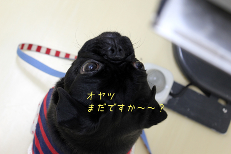 まだ終わってないでしょ~!