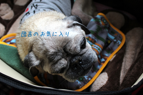 団吉のお気に入り