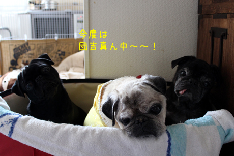 団吉真ん中になったよ