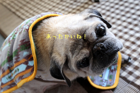 団ちゃん。あったかだね