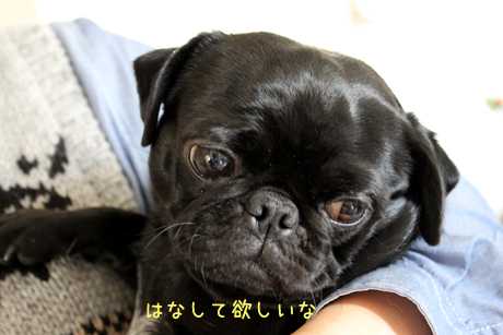 困ったね
