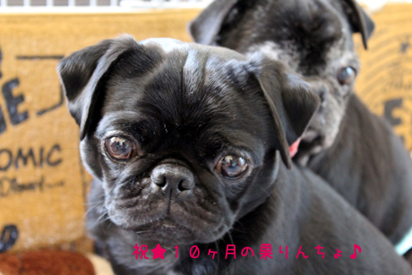もう10カ月たったのだ