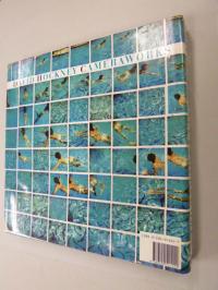 デイヴィッド ホックニー Lawrence Weschler(洋書
