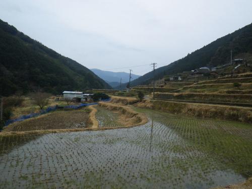 IMGP3319.jpg