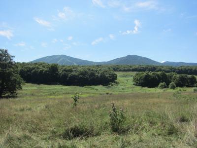 IMG_1913.jpg