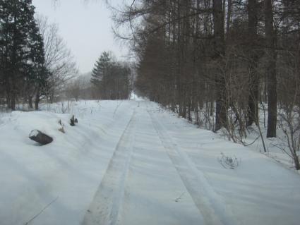 IMG_3378.jpg