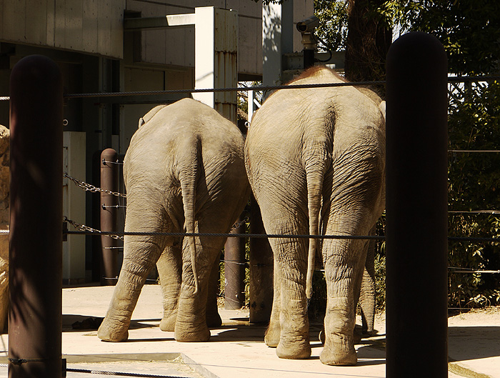 13-3-11-ueno-014.jpg
