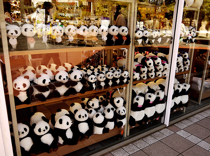 13-3-11-ueno-016.jpg
