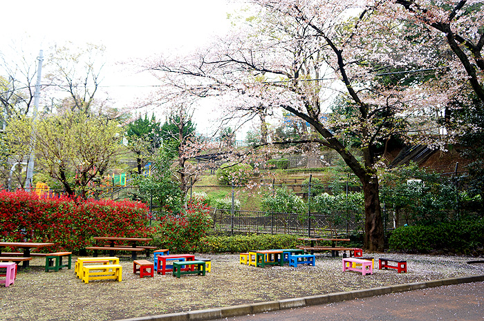 13-4-2-noge-011.jpg