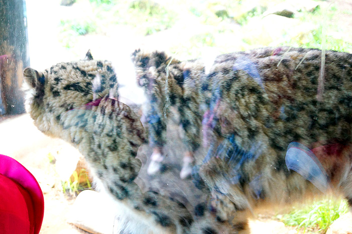 13-5-5-tama-07.jpg