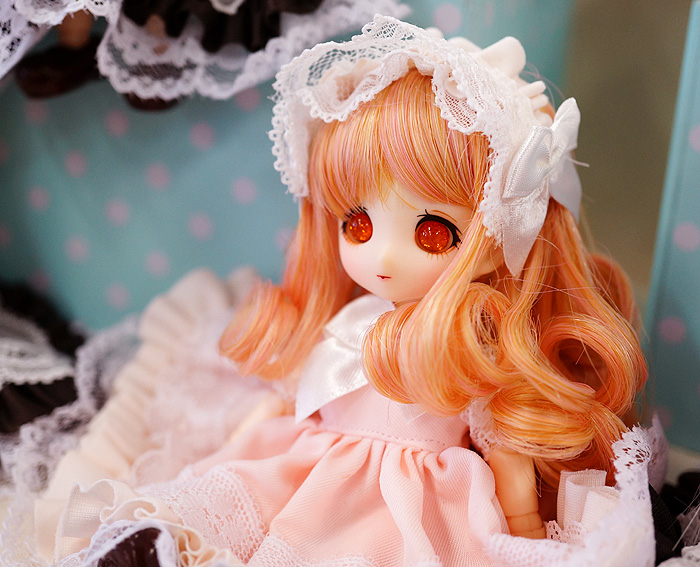 13-6-9-koimari-017.jpg