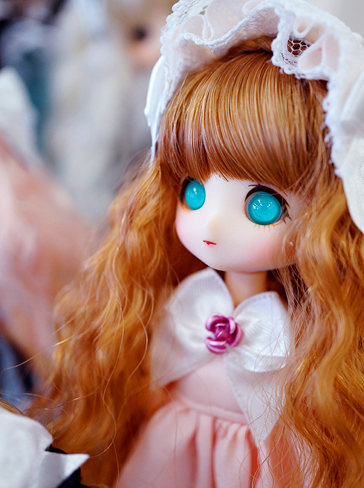 13-6-9-koimari-024.jpg