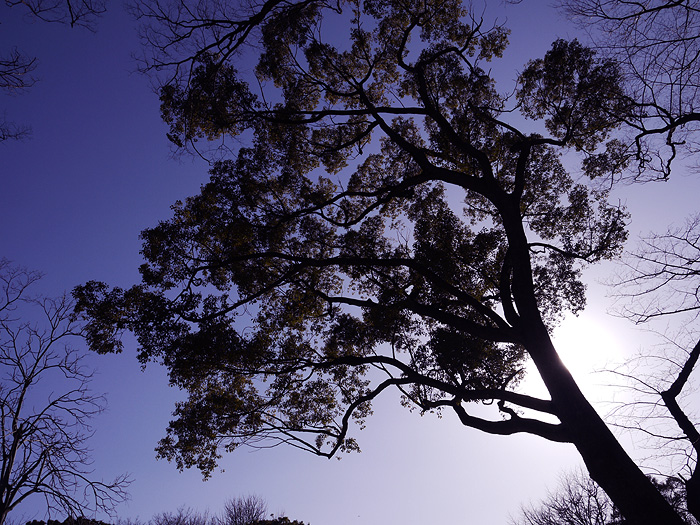 _013-3-14-ueno-028.jpg