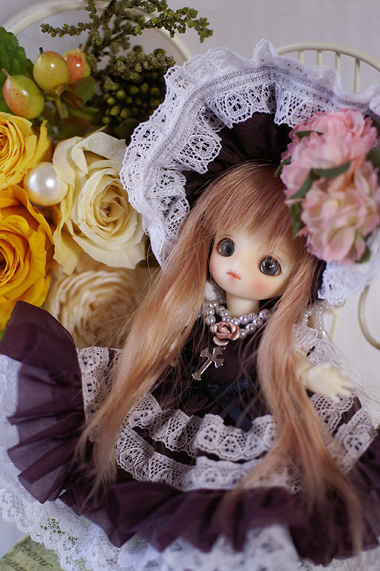 koi-019.jpg