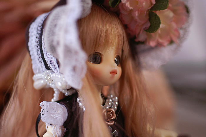 koi-04.jpg