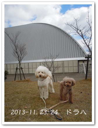 2013-11-25-1.jpg