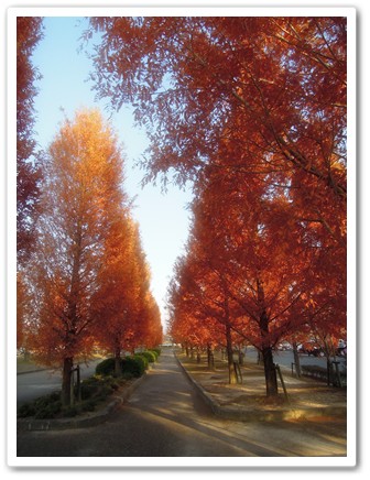 2013-11-25-2.jpg