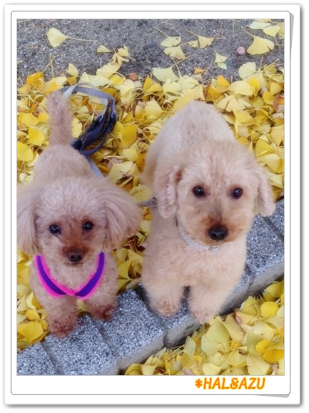 2013-11-26-1.jpg