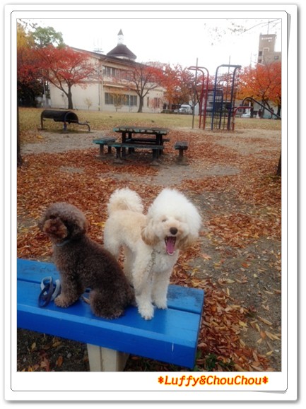 2013-11-26-2.jpg