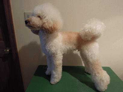 2013-12-4-7.gif