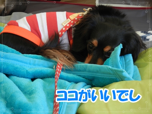 DSCN0574.jpg