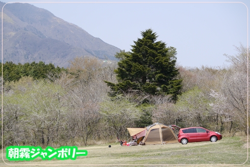 P1020528.jpg