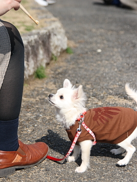 20120303_IMG_2443.jpg