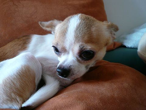 P1050600_R2.jpg
