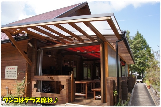cafe3