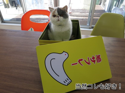 当然こちらも