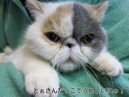 とぉさんに抱っこされて温々