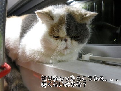 包丁を使わなくなるとこうなる。