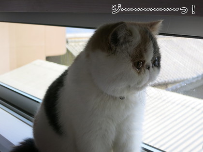 何見てるのかな?