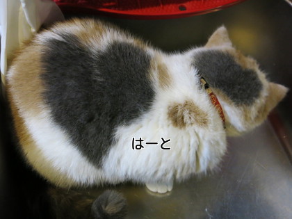 はーとがかわいい♪