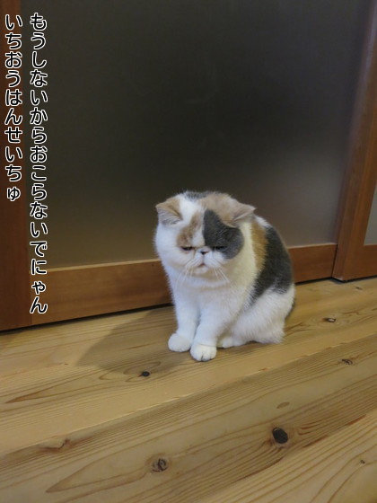 だめでしょ~!