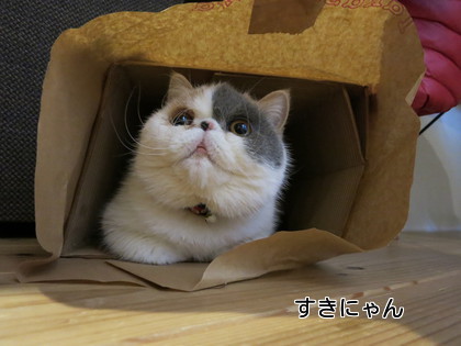 かぁさん大笑いです